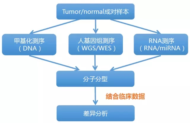 技术路线.jpg